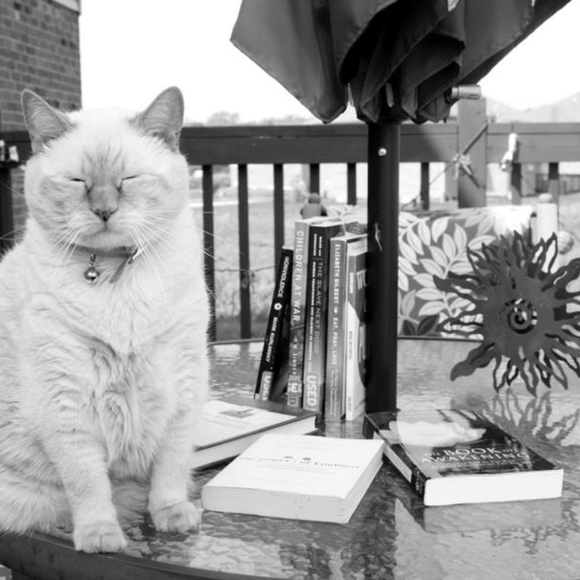 Meet your Posher, Blaise :) - Picture 4 of 6